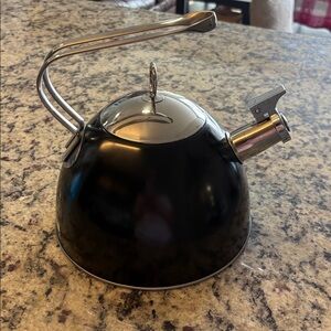Stainless Steel Black Whistling Tea Kettle